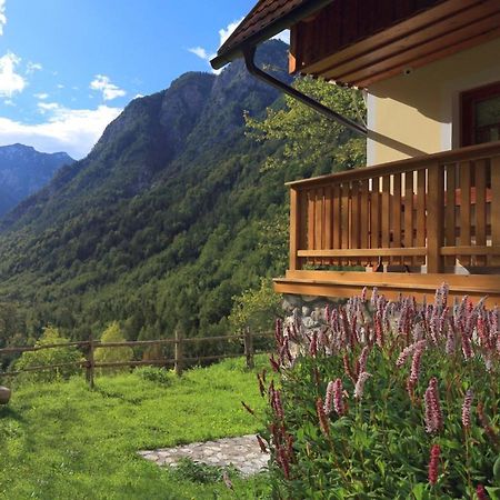 Zadnjica Holiday House Soča Екстериор снимка